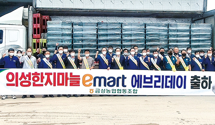 경북 의성 금성농협, 한지마늘 이마트 에브리데이 출하