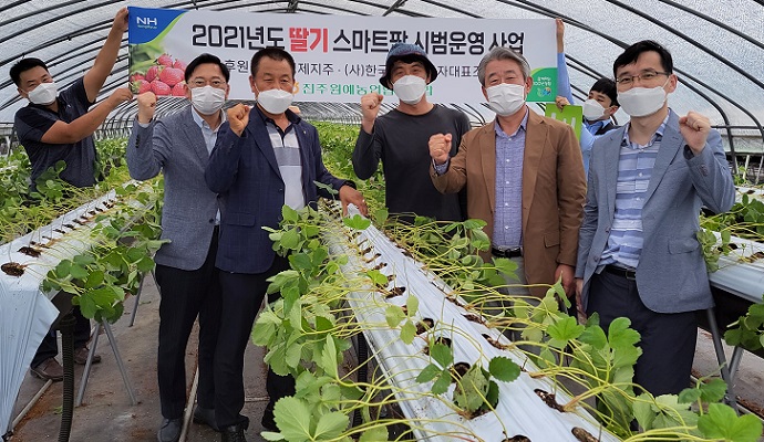 농협, 딸기 스마트팜 시범운영…인력부족 해소 기대