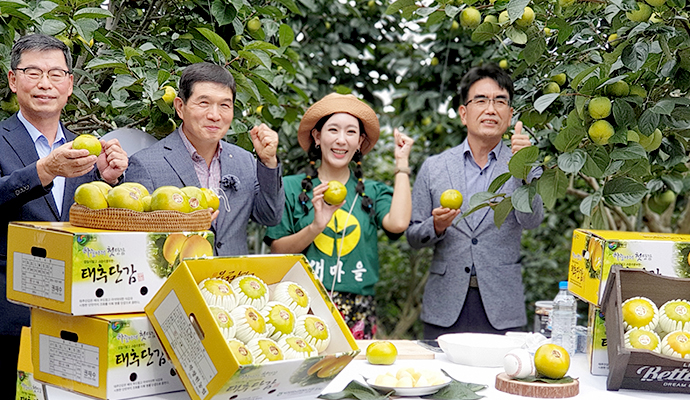 창원 ‘태추’ 단감, 라이브 커머스서 완판