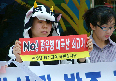 제주 축산물 유통특구…美쇠고기 넘는다!
