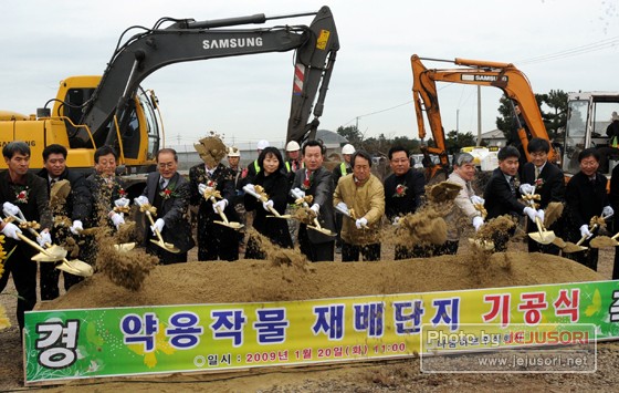 제주 약용작물, 대박 터뜨릴까?
