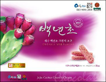 제주시, 중소기업 산업디자인 무료지원 호응…제품경쟁 기대