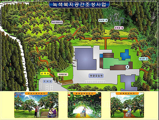 제주 원광요양원 감나무 숲 생겨요!