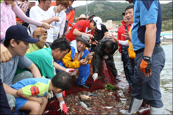 참굴비 싱싱한 제주 추자도로 오세요