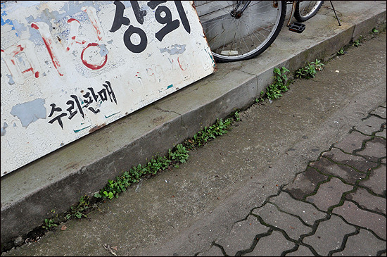 덜덜 거리는 그의 재봉틀 소리가 그립습니다