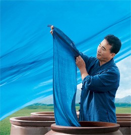쪽물의 달인 정관채 염색장, 쪽빛 어떻게 찾았나