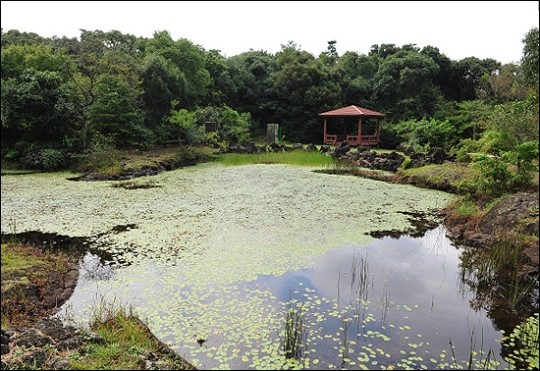 제주 동백동산, 세계 최초 람사르 시범마을 선정
