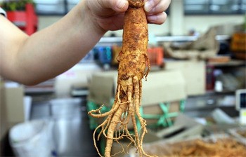 제주한방산업 컨트롤타워 ‘한의약연구소’ 설립되나?
