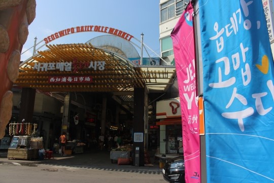 옵데강 고맙수다 친절한 제주 만들기 시작