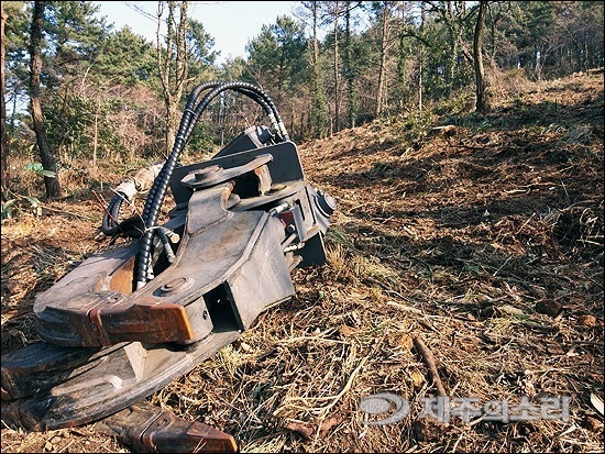 소나무재선충병 3차 방제 코앞인데 ‘한숨만’
