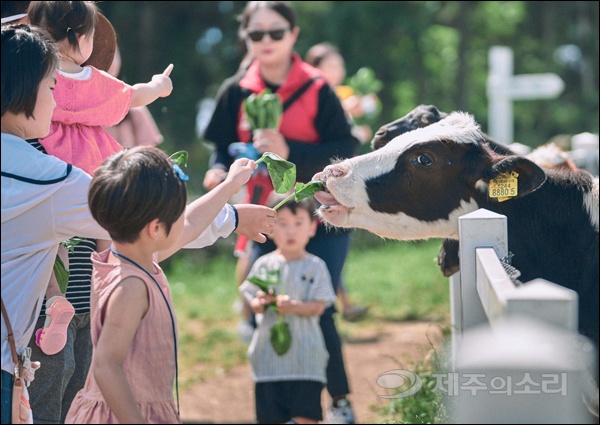 제주 농·산·어촌 마을 관광 팜팜버스 체험하자