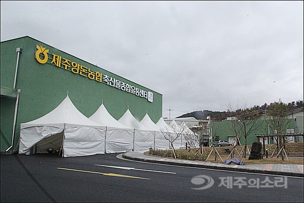 제주 양돈농가서 소비자 식탁까지 원스톱 시대 열렸다