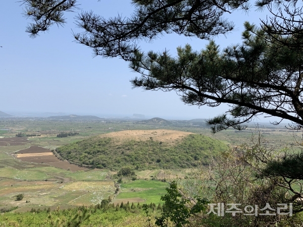 다랑쉬 오름을 오르며