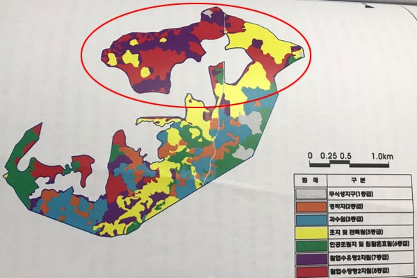 2단계 사업 앞둔 제주영어교육도시...곶자왈 파괴 논란 재점화