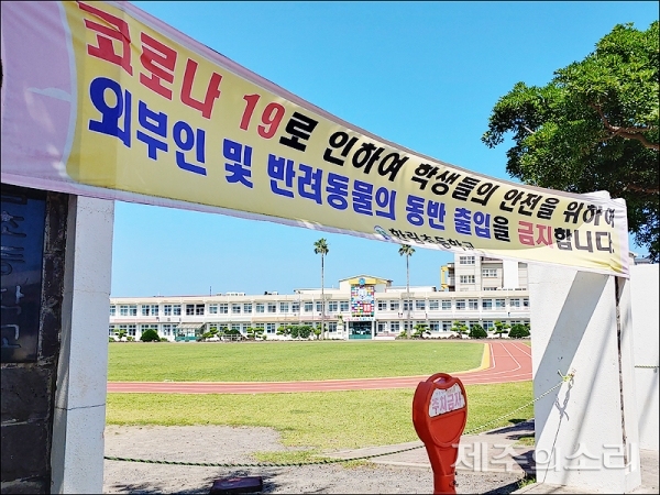 코로나 2차 감염에 제주 한림읍 거리 휑…이게 무슨 날벼락?