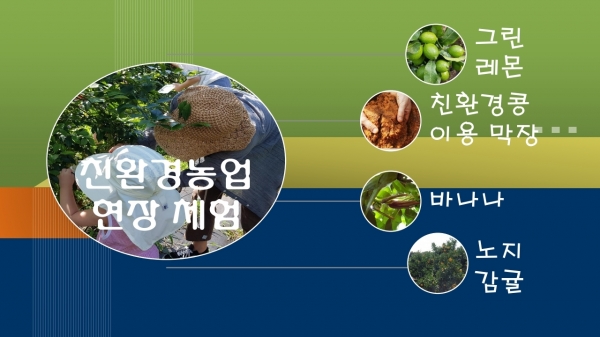 제주 친환경 농업, 산지체험 통해 배워보세요!