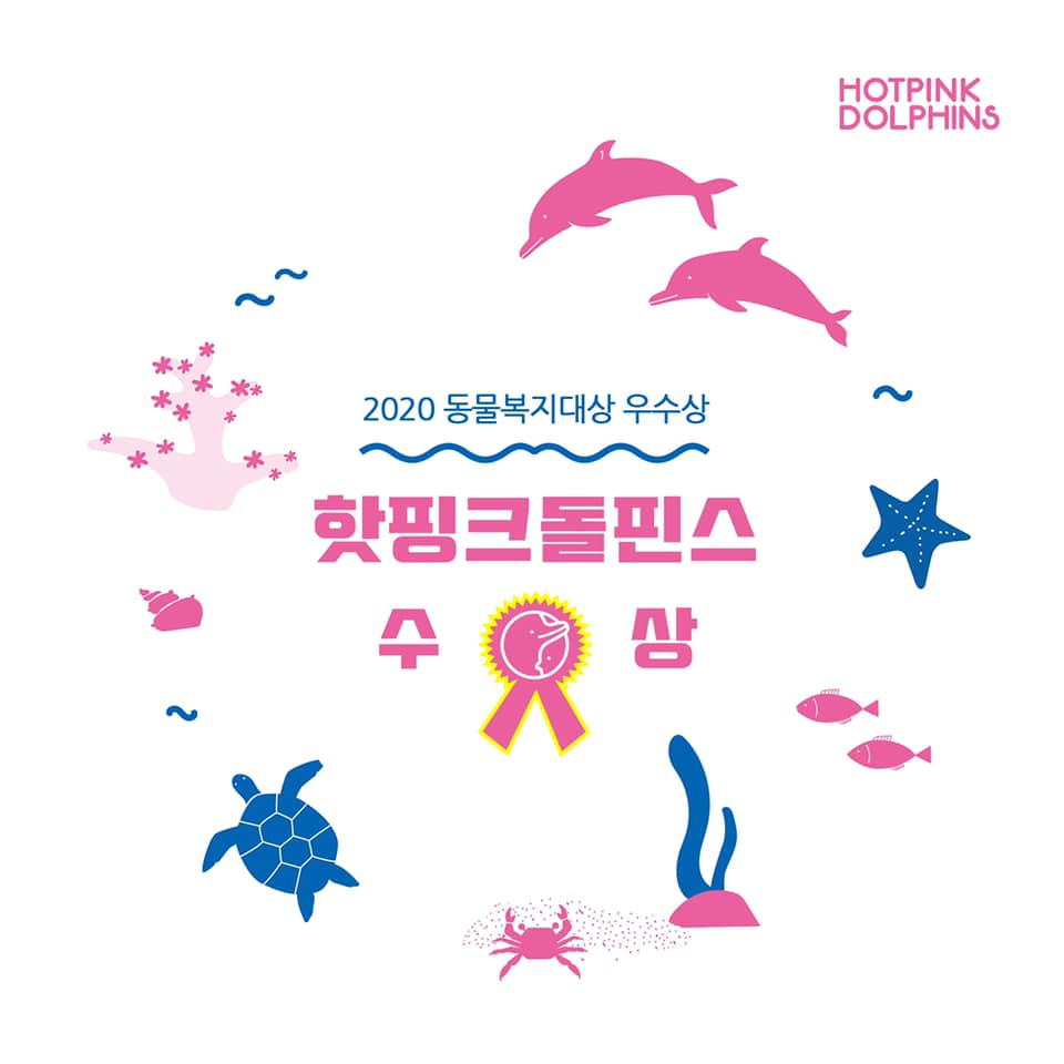 제주 해양환경단체 핫핑크돌핀스 동물복지대상 수상