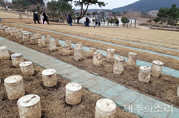 제주동부공설묘지 자연장지 전환 공사 중단 장묘대란 우려