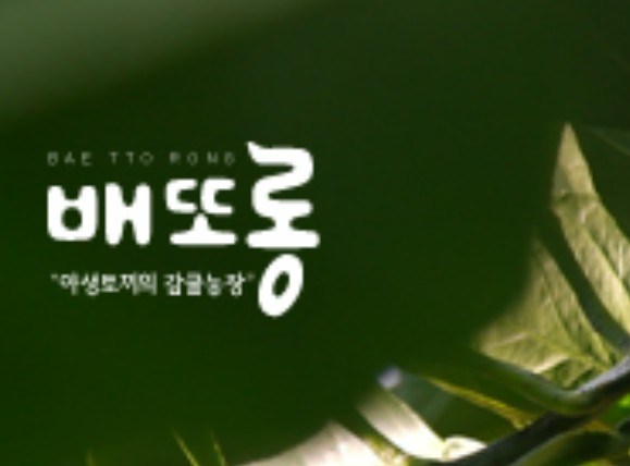 한글날 맞이 아름다운 우리말 상표, 제주어 배또롱 선정