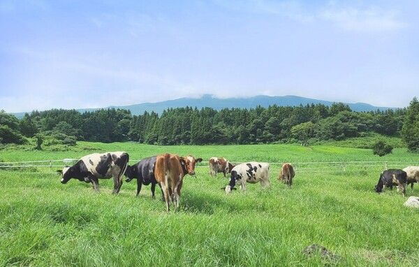 제주 6차산업 발전기반 마련한 이성철 대표, 농림부 장관상 수상