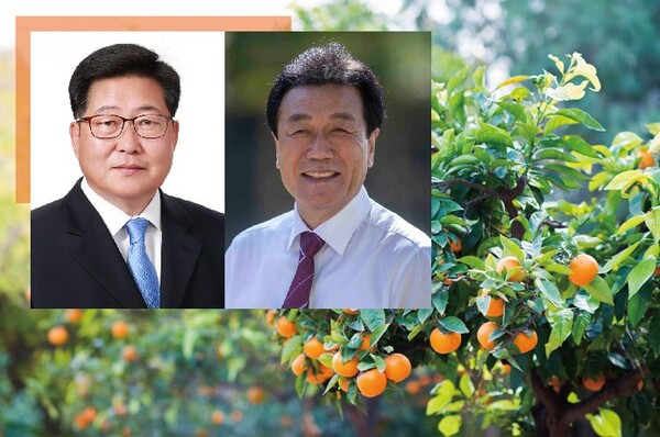 명품 감귤 본고장 효돈농협...APC건설 조합장 vs 본점이전 전 감사