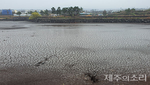 63년 만에 물 뺀 제주 수산저수지 바닥 들여다보니…