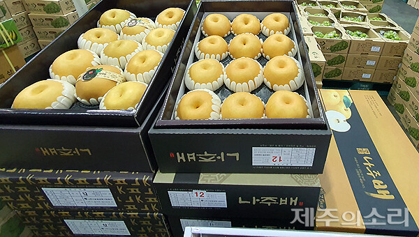 제주 공판장 장악한 샤인머스캣 사과값 폭등에 차례상 고민