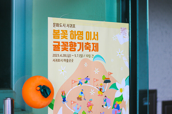 서귀포 노지문화 영감 나누는 귤꽃향기축제 27일 하례리서 시작