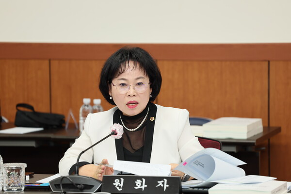 붕괴 위기 제주 국수거리 먹거리 관광 위기, 지원 필요 