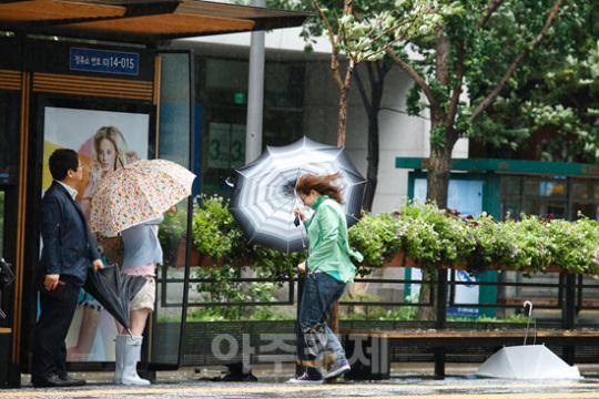 [포토] 태풍 메아리 강풍에 뒤집힌 우산과 버려진 우산들