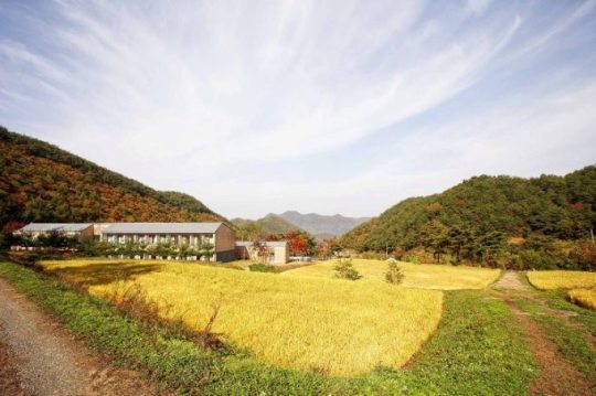 풀무원 연수원, 지역 청소년 위한 바른먹거리 여름 캠프 개최