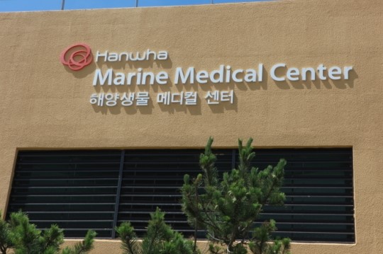아쿠아플라넷 제주‘한화 메디컬 센터’개원