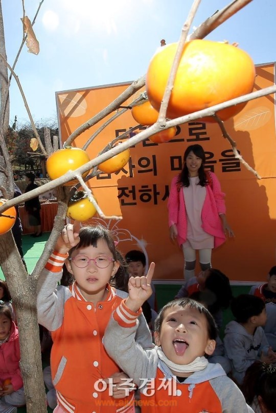 [포토] 감 따주세요