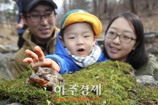 [포토] 개굴개굴 개구리 노래를 한다~
