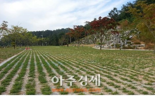 예산군, 국민여가캠핑장, 무료개방