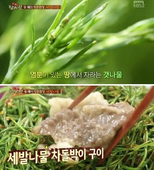 송해가 극찬한 세발나물, 어떤 음식이길래?