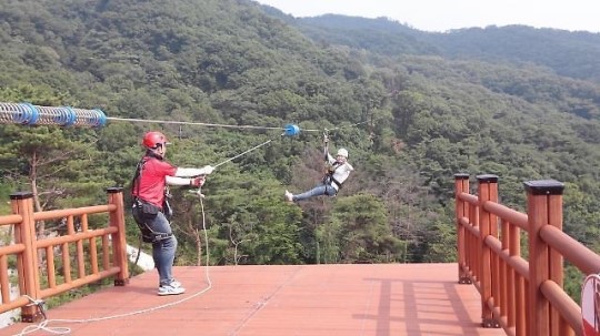 용인시, 오는 29일 자연휴양림에 레포츠시설 짚라인 개장