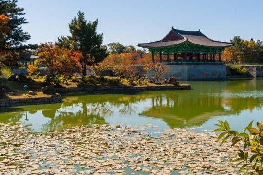 가을엔 단풍 여행이 최고! 자유롭게 떠나요 한중일 단풍여행~