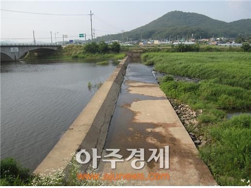 충남도, 금강 지천 100리 수산자원 조성 ‘물꼬’
