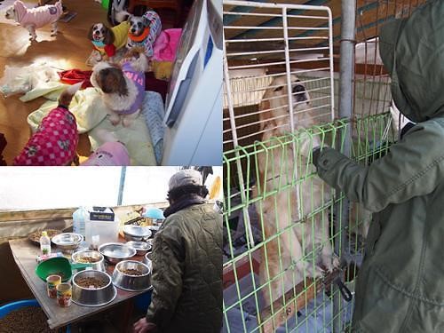뷰티카페 여우야, 연말 맞아 유기동물보호소에서 봉사활동 전개