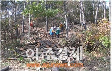 충남, 연27만 명 규모 산림 녹색일자리 제공