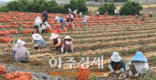 제주, 농촌인력 부족·고령화…농작업 대행 추진