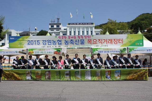 강원농협 목요 직거래장터 도청 앞에서 열려
