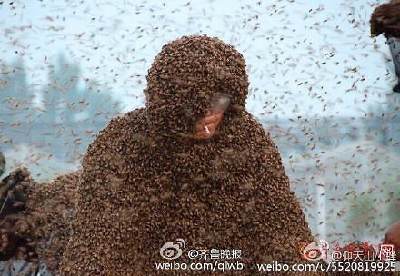 [중국화제] 109kg 벌떼 몸에 붙인 벌집인간 기네스북 성공
