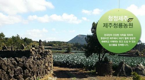 제주비트즙으로 유명한 제주청룡농원 콜라비 다이어트로 콜라병 몸매 만들어볼까