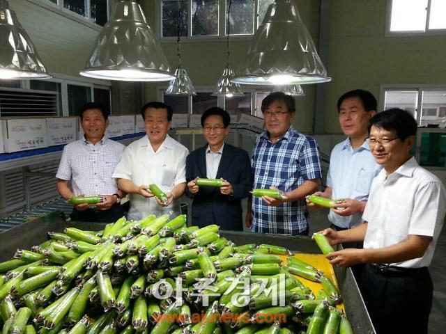 양주시, 애호박 공동선별․포장시스템 연시회 열어