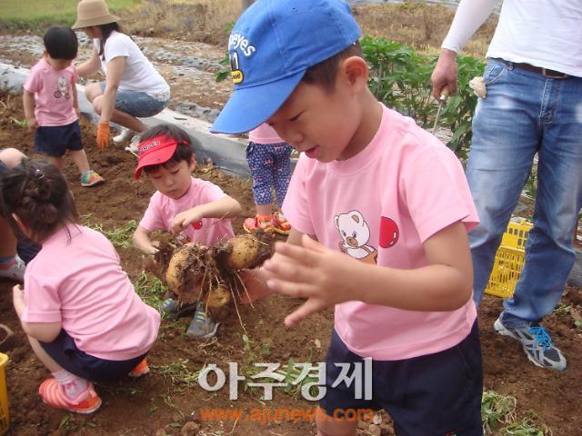 사계절 농촌 체험, 익산 정보화마을에서 즐겨요