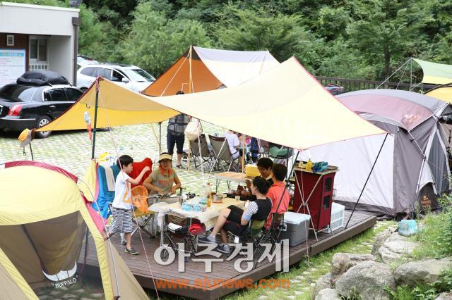 무주 반딧불청소년 야영장 25일 개장