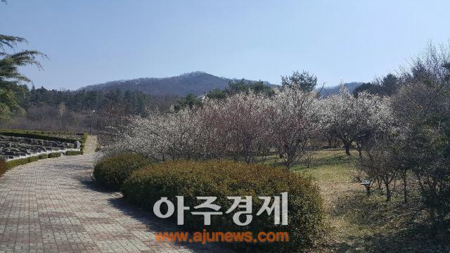 충남도 산림환경연구소, 금강수목원서 꽃향기 가득한 봄 즐기세요