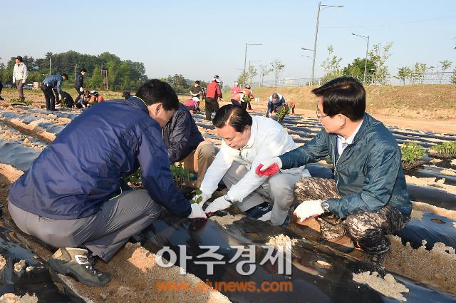 양주시, 체험관광농원 목화심기 행사 가져
